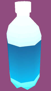 Water Bottle