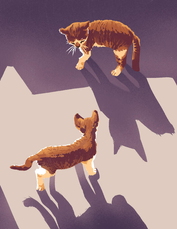 Stand-Off