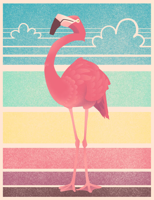 Flamingo Style